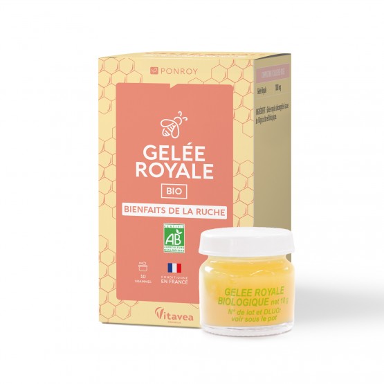 Gelée royale BIO en pot